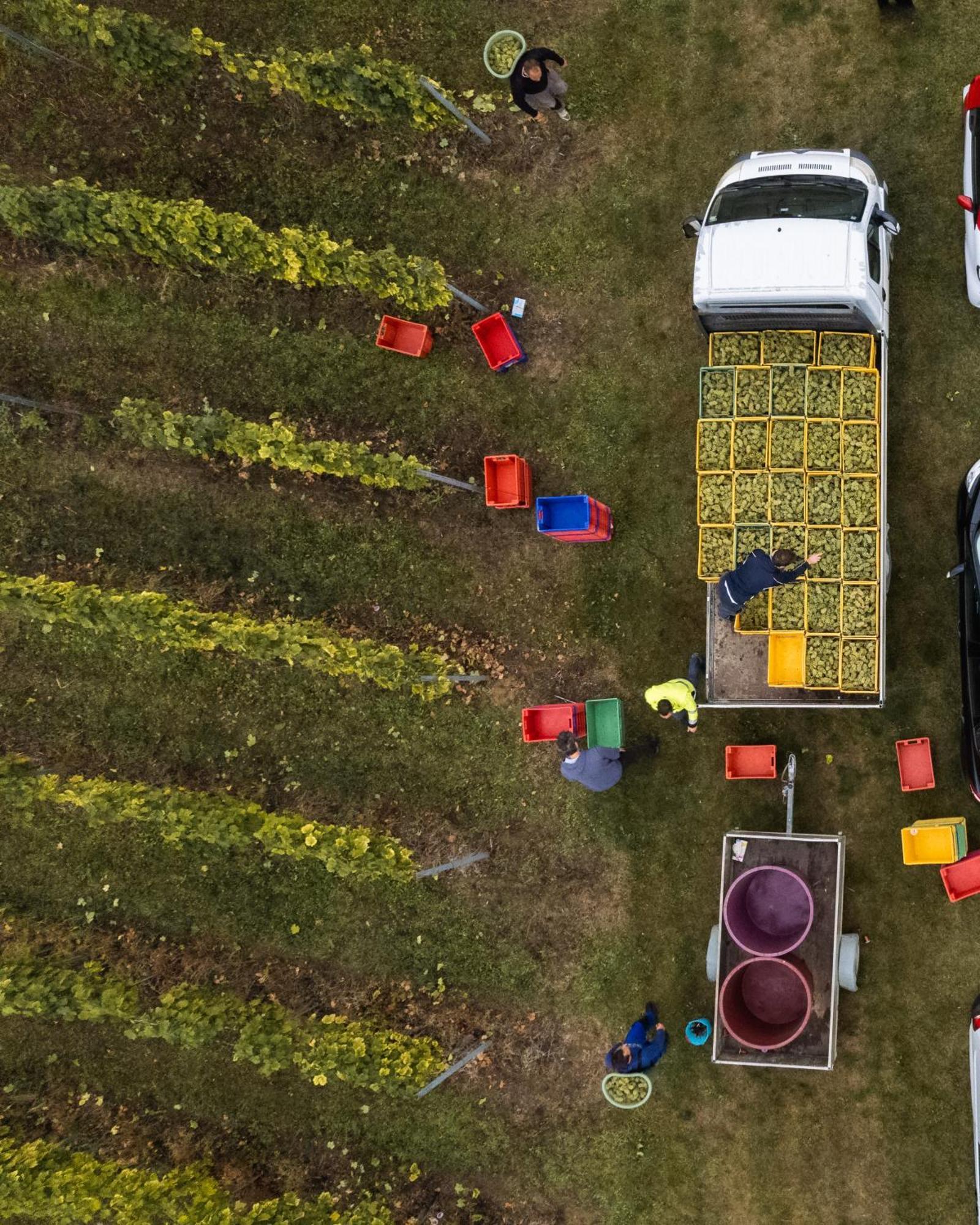 Bed&Breakfast Vinarija Coner 别洛瓦尔 外观 照片