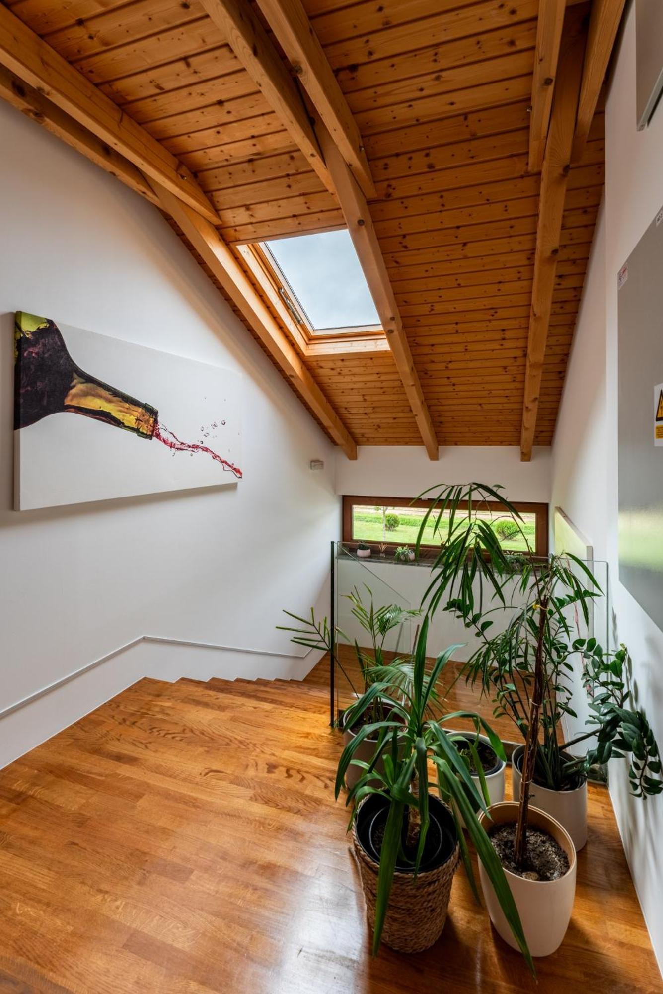 Bed&Breakfast Vinarija Coner 别洛瓦尔 外观 照片